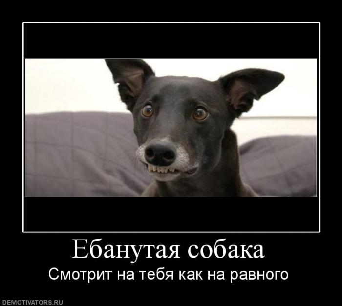 [Изображение: vYCo1.jpg]