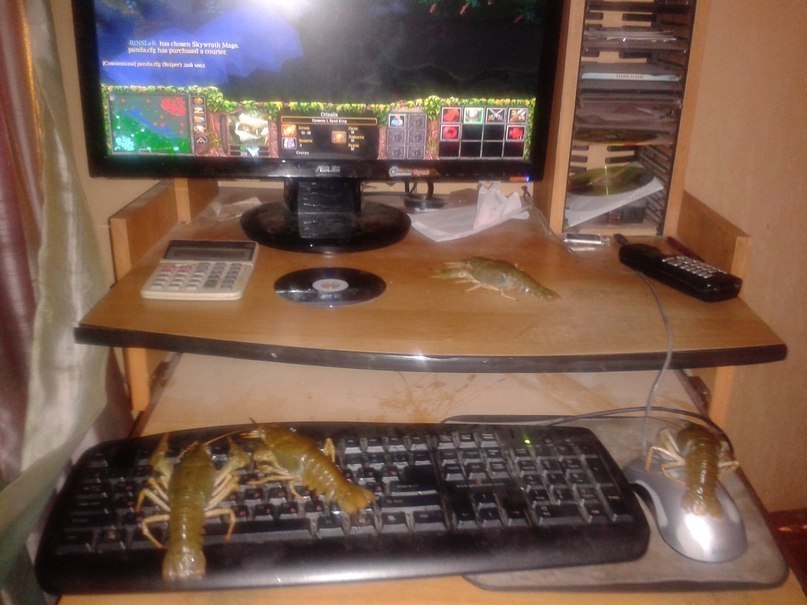 [Изображение: 9tlNc.jpg]