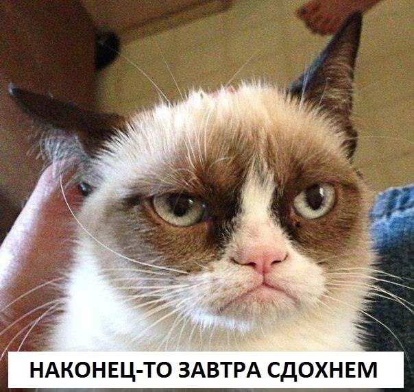[Изображение: Bc76Z.jpg]