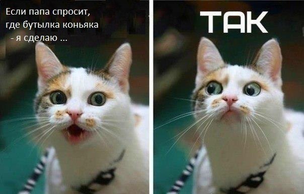 [Изображение: e6IVD.jpg]