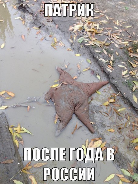 [Изображение: 2l5RS.jpg]