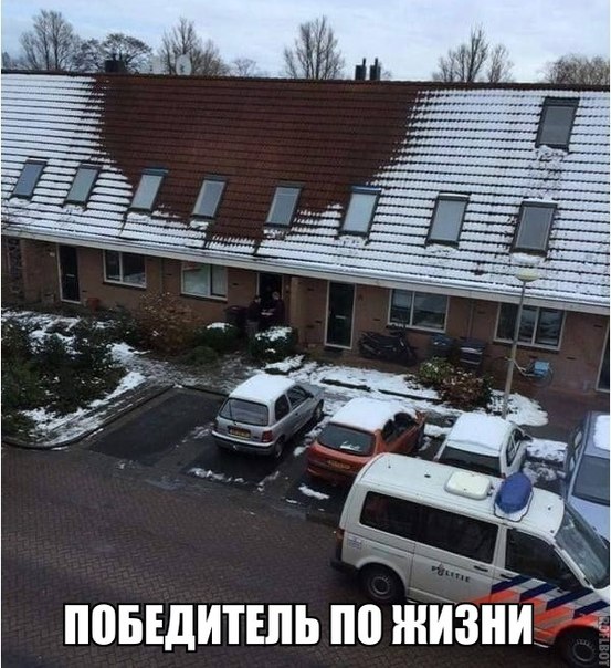 [Изображение: inTK2.jpg]